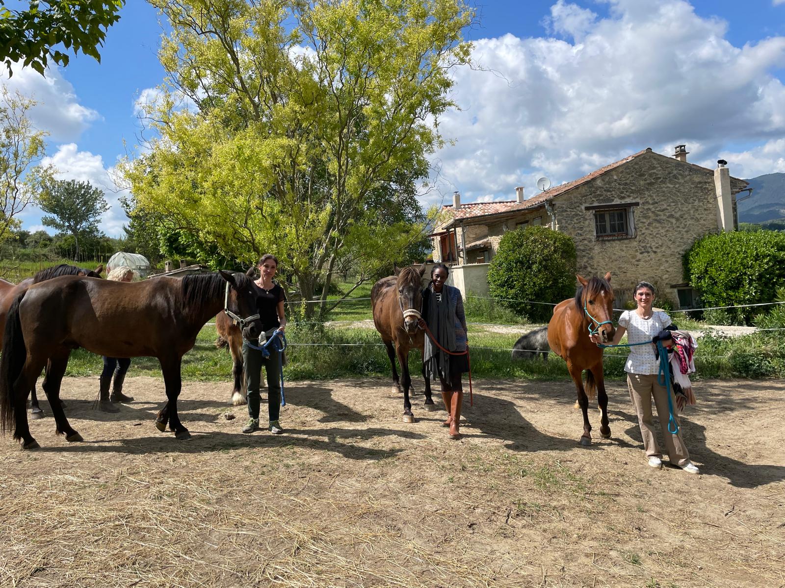 Zulu, un cheval de 3 ans, membre de l'équipe Equichance