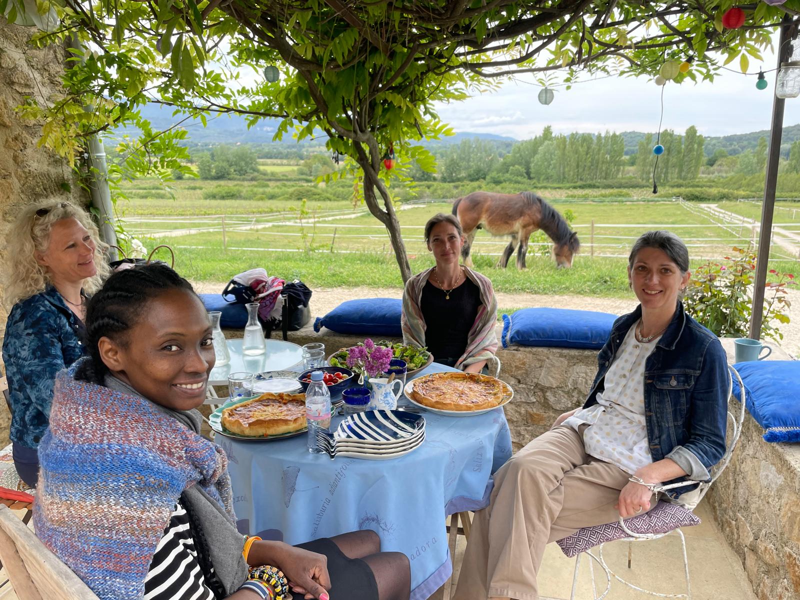 Zulu, un cheval de 3 ans, membre de l'équipe Equichance