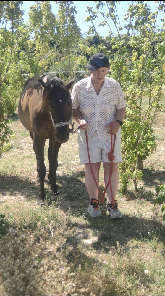 Zulu, a 3 year old horse, part of the Equichance team