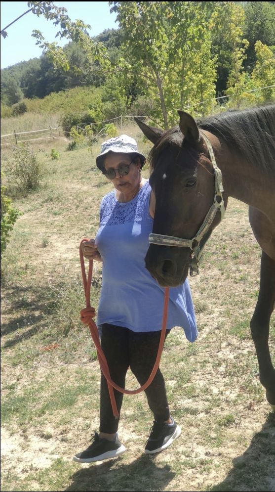 Zulu, a 3 year old horse, part of the Equichance team