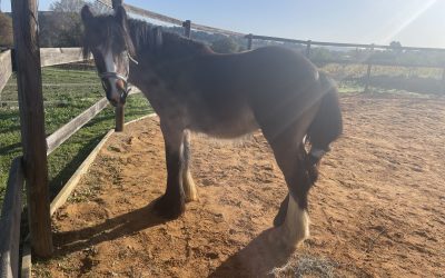 Mise à jour de décembre 2024