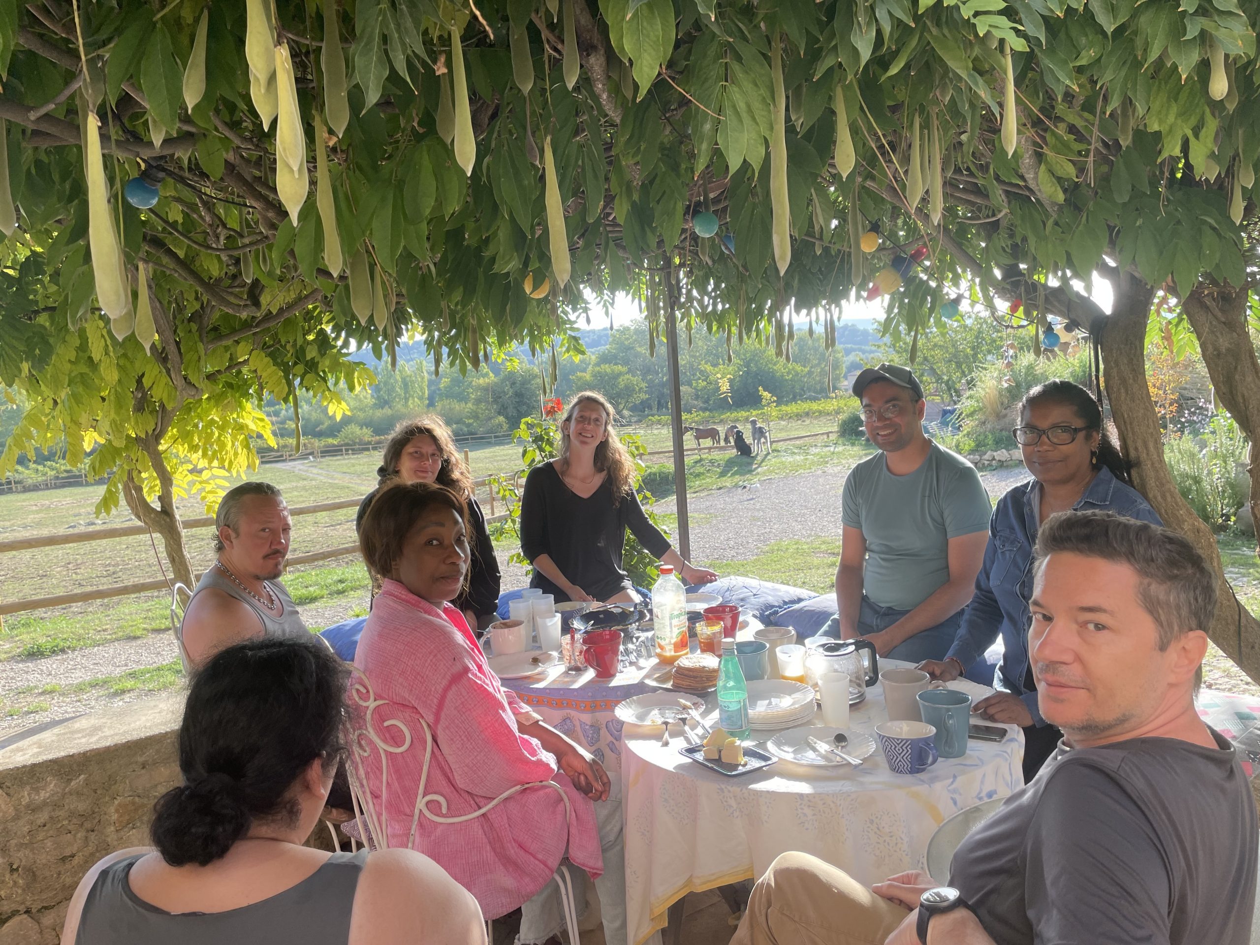 Zulu, un cheval de 3 ans, membre de l'équipe Equichance