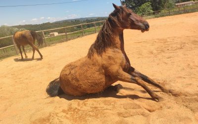 Mise à jour de septembre 2025